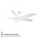 Zephyr 62'' Smart Indoor/Outdoor Ceiling Fan with 2700K-3000K-4000K-5000K Selectable LED Light Kit and Remote Control, Works With Alexa and iOS / Android App