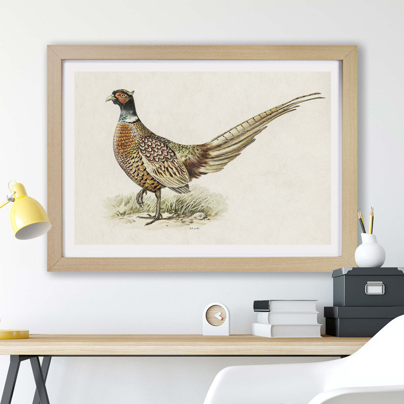 Ring-Necked Pheasant by Von Wright - Single Picture Frame Painting, Oak, 45cm H x 63cm W x 2cm D