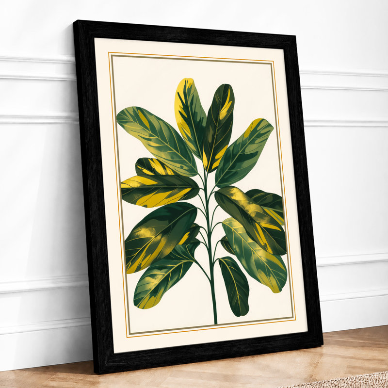 Variegated Specimen Botanical - Framed Print, A2 - 59.4 x 42.0 cm, Black