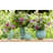 Anka Earthenware Table Vase 1