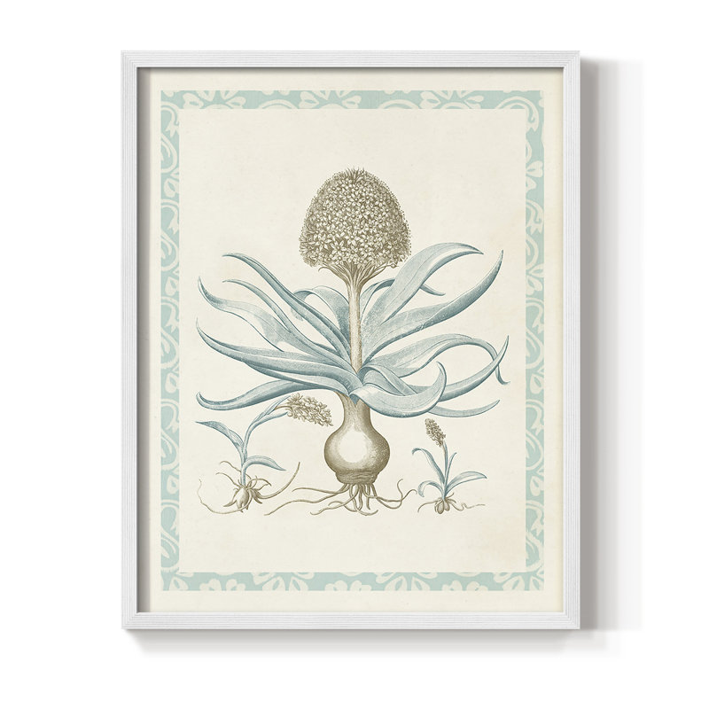 Reproduction encadrée Willow Blue Besler IV - bois massif, Blanc, H 14 po x l 11 po
