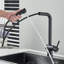 Belfry Kitchen Raposo Pull Out Kitchen Faucet