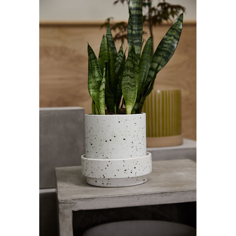Bridgeway Pot with Saucer, 7.75" H x 8" W x 8" D