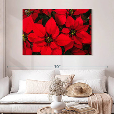 Crimson Poinsettia