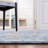 Sierra Performance Oriental Rug-66094178