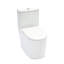 Toilette de salle de bain brute de 12 po, céramique blanche, double chasse 1,1 / 1,6, siège à fermeture douce Siphon Jet, carte de 800 g, céramique facile à entretenir, avec siège en PP pour hygiène et entretien