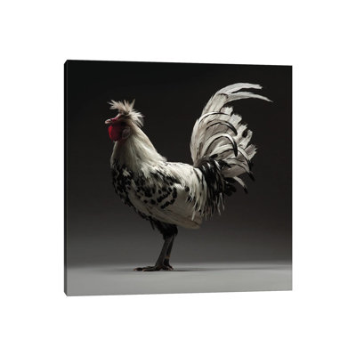 Appenzeller Tufted by CHICken - Wrapped Canvas Print