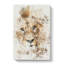 The Face of a Lion - Wrapped Canvas-56644637