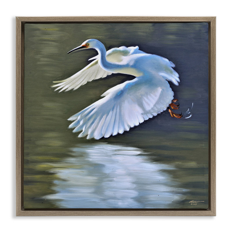 «Egret Flying Lake Surface» par D. Rust, H 18 po x l 18 po x P 1,7 po, Cadre flottant orme Montalcino