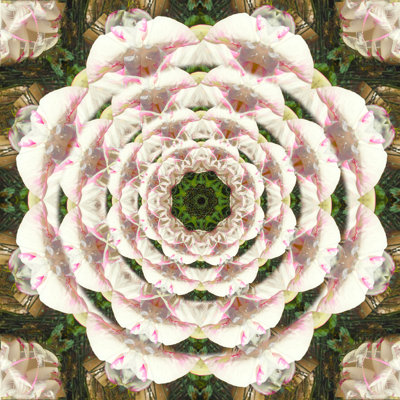 Photographic Mandala Design - Wrapped Canvas Print
