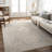 Don Oriental Machine Woven Polyester Area Rug in Gray/Beige/Gold-61406399