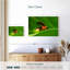Firefly-108887489
