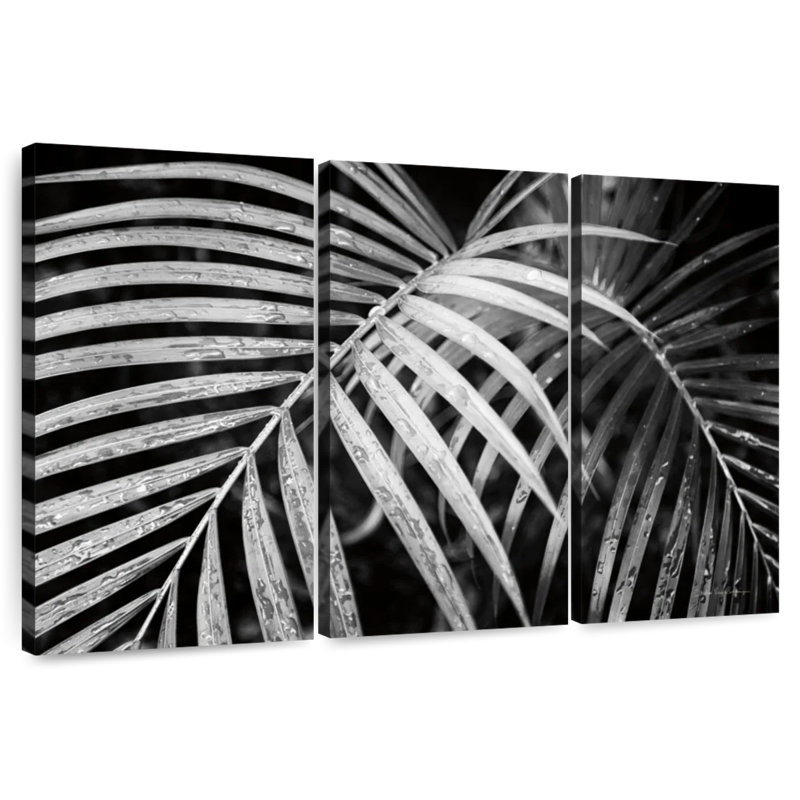 Harnek Palm Fronds, 20" H x 33" W