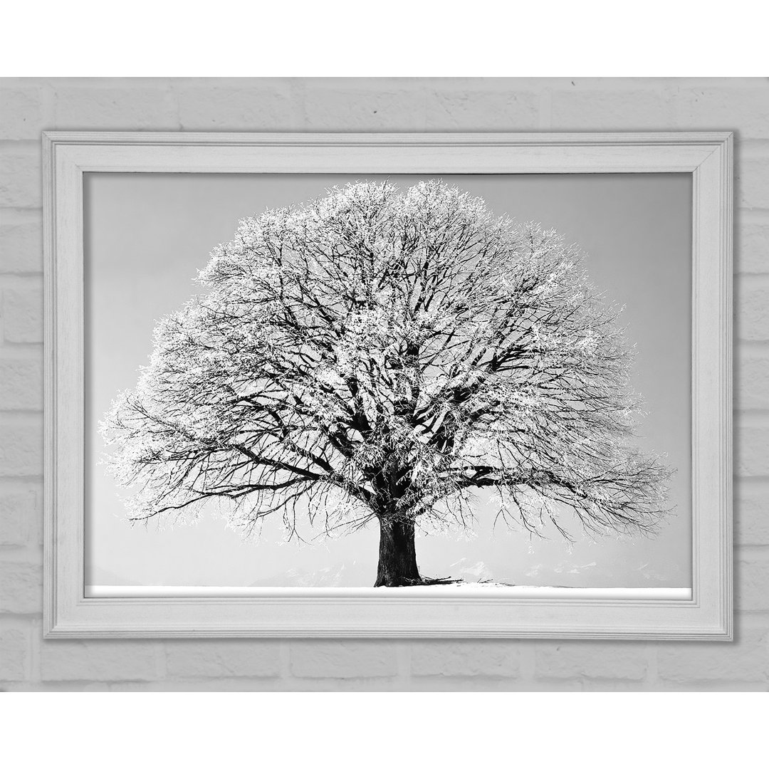 Winter Snow Tree B N W - Einzelner Bilderrahmen Kunstdrucke