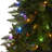 Lighted Christmas Tree-2012693070