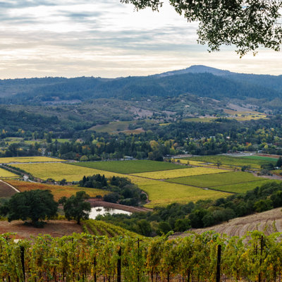 Geof Vista Of Sonoma Valley - Wrapped Canvas Print