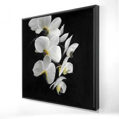 " Beautiful Orchids "