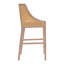 Anje Upholstered Counter Stool with Solid Wood Frame