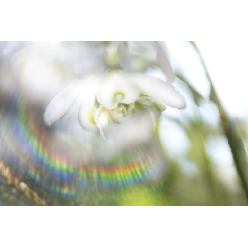 Glorious In Rainbow II by Gillian Hunt - Wrapped Canvas Print, 20cm H x 30cm W
