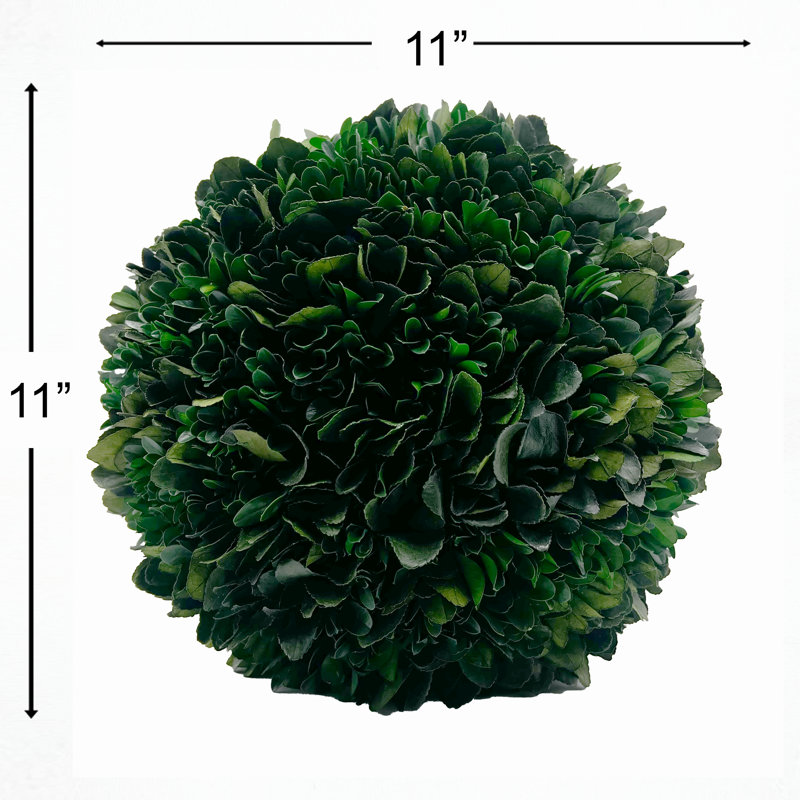 Preserved Boxwood Topiary Ball for Centerpieces
