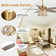 Zoraida 52'' Ceiling Fan with Light Kit