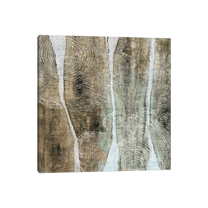 John Butler - Wrapped Canvas Print, 30.48 cm H x 30.48 cm W