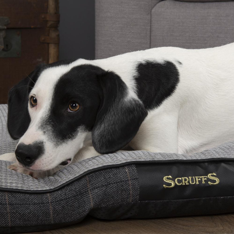 Windsor Polyester Pet Bed, Charcoal/Blurry Wood