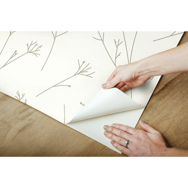 Rouleau de papier peint à peler et à coller Twig L 16,5 pi x l 20,5 po, Brun