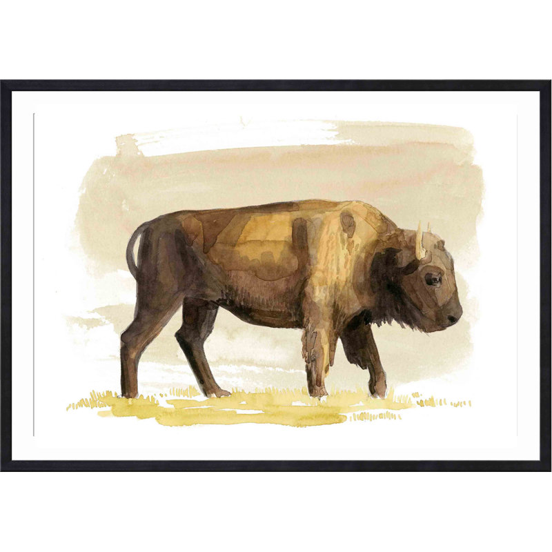 «Bison S croquis I» par Grace Popp - peinture encadrée, Noir, H 8 po x l 12 po