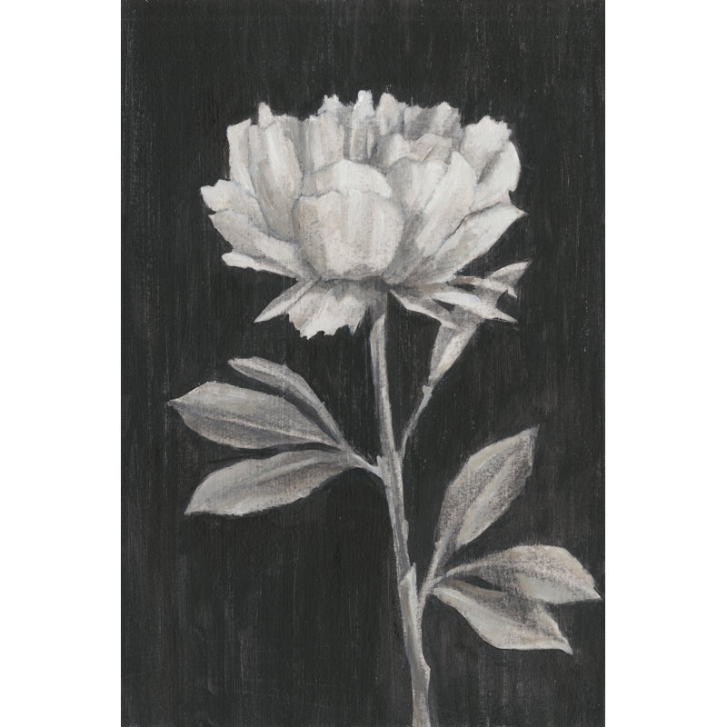 Black And White Flowers III by Ethan Harper - Wrapped Canvas Print, 46cm H x 30cm W