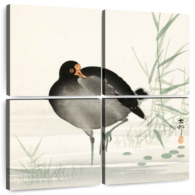 Brampt Moorhen