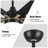 Ceiling Fan with Light Kit