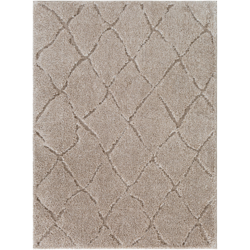 Tapis beige tissé à la machine Wallen, Rectangle 5 pi 3 po x 7 pi 3 po