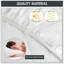 Taulbee Waterproof Fitted Mattress Protector Case Pack-1757975389