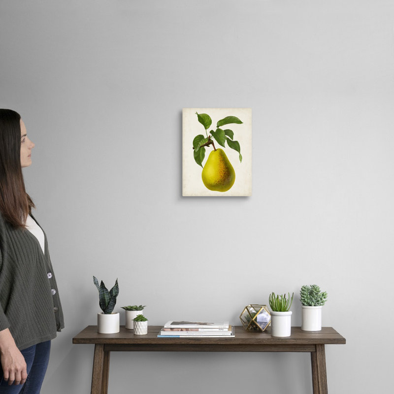 Antique Fruit VII - reproduction d'art sur toile, Toile tendue, H 14 po x l 11 po x P 1,25 po