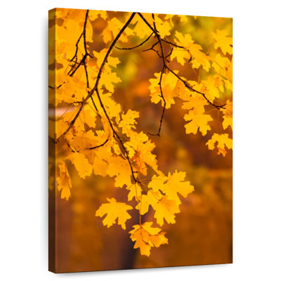 Alvord Orange Leaves