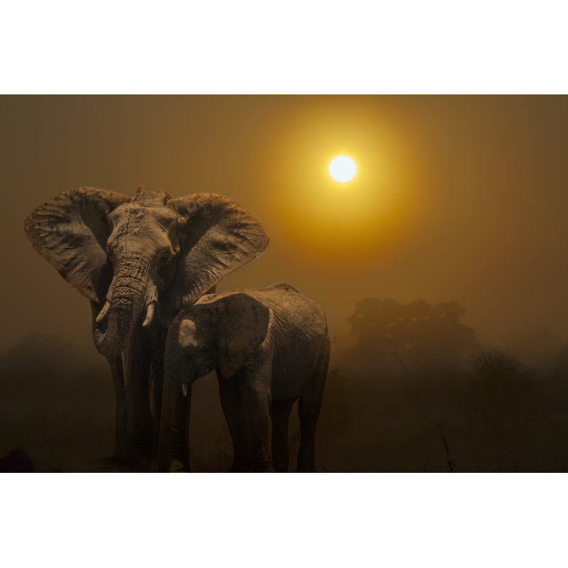 Kruger National Park by Utopia_88 - Wrapped Canvas Print, 30cm H x 46cm W