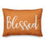  Coussin Thankful and Blessed