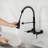 Dilon Pull Down Kitchen Faucet-69489759