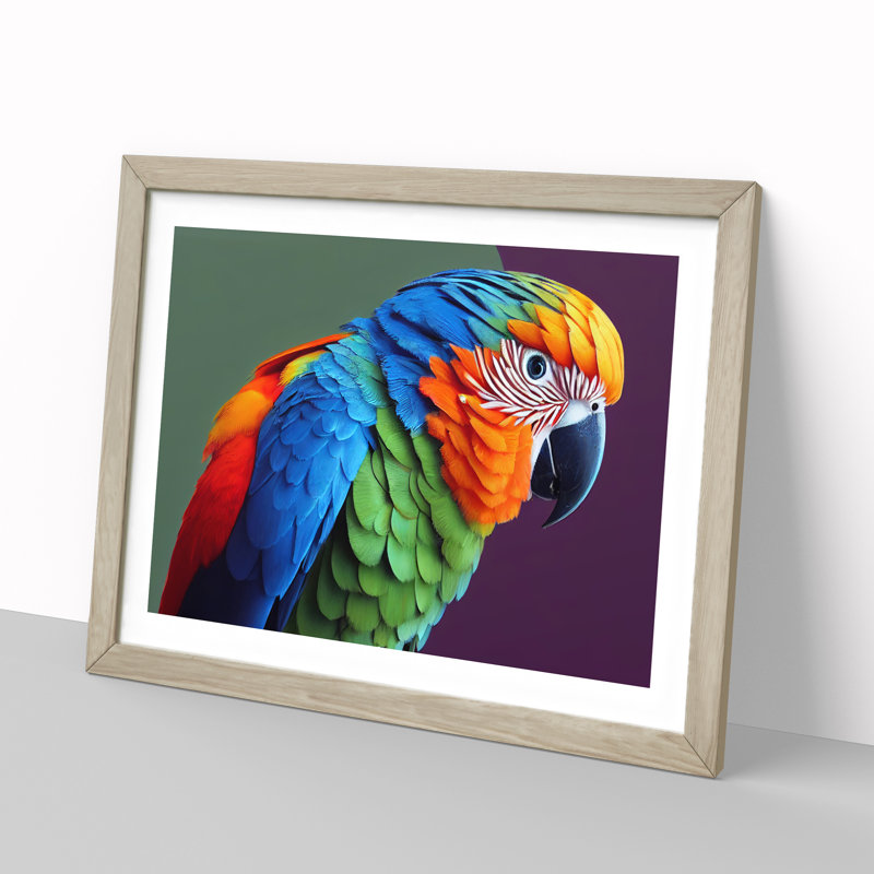 Colourful Parrot Portrait Vol.5 - Single Picture Frame Print, Oak Framed, 25cm H x 34cm W x 2cm D