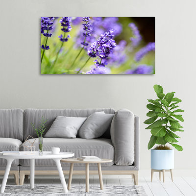 Lavender - Wrapped Canvas Print
