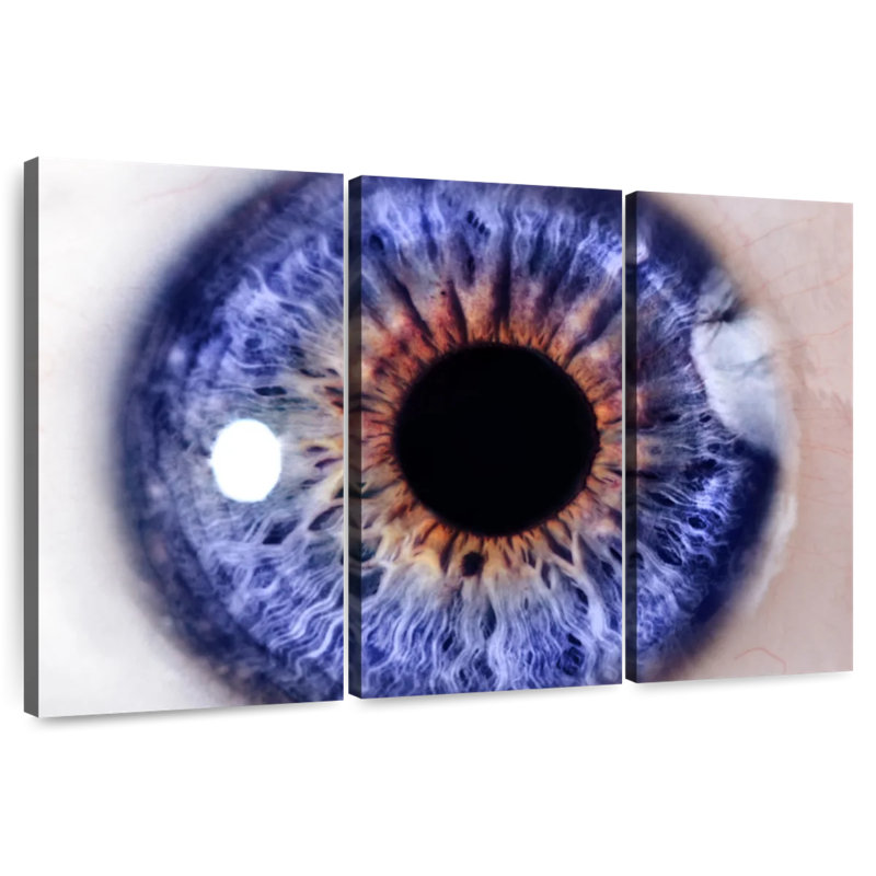 Alcaraz Deep Blue Eye, 36" H x 57" W