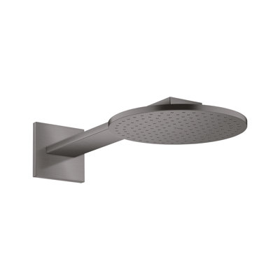 ShowerSolutions Showerhead 250 2-Jet with Showerarm Trim