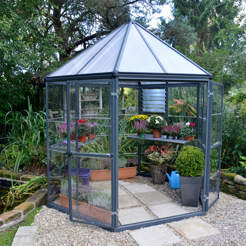 Oasis 8 Ft Wx 8 Ft D Hobby Greenhouse