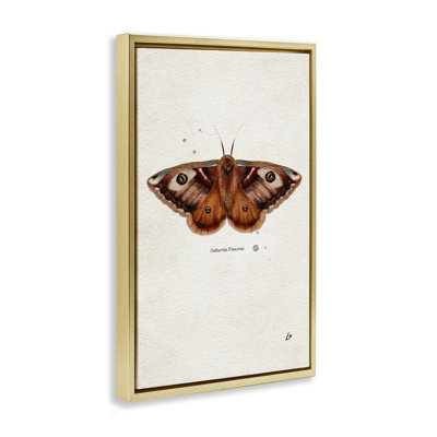  «Moth» par Lydia Orange