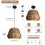 1 Dome Pendant