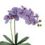 Silk Orchid Faux Floral in Pot-1204512987