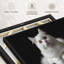 Impression sur toile de chat persan blanc-1633942115