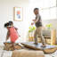 Ensemble de grimpeur ECR4Kids SoftZone, Balance Builders, chocolat, 4 pièces