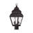 Arelene Lantern Head-917729113-917729117